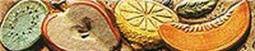 Qui. Listello Rione Cotto
