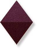 VISIONARY BORDEAUX AE SPIGOLO
