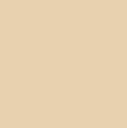 OASI (beige)