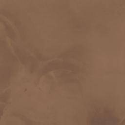Silon Brown