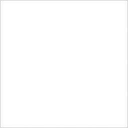 Marmi Super Blanco Rect.
