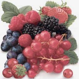 Tutti Frutti Decorado Multi Frutti