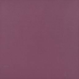 Fly Cannes Violeta