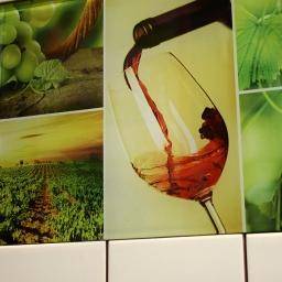 Vineyard