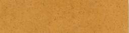 Elewacja Aquarius Beige