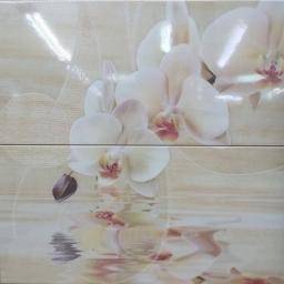 Dec.Orchid Set.2