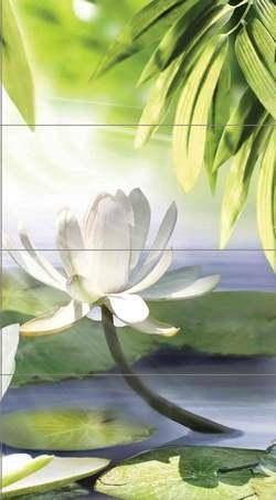 Nature Lotus 3