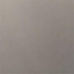 Concept Porc. Gris