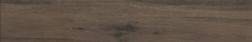 K925353R Samba Beige Rec