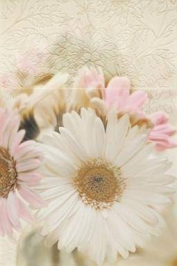 Reflection Beige Panel Gerber