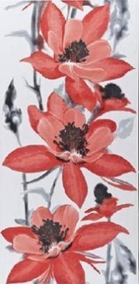 Alaska Red Orlik