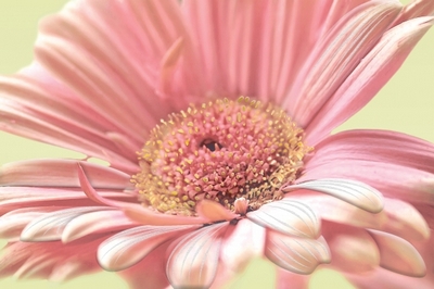 Aster 2 Aster 2