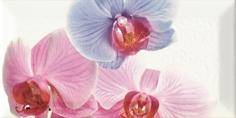 Decor Orchidea 1