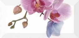 Decor Orchidea 4