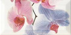 Decor Orchidea 2