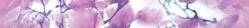 Magnolia B400D297