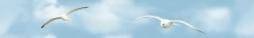 Mauritius B300-2D138
