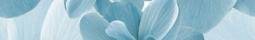 Pastel B300-2D124