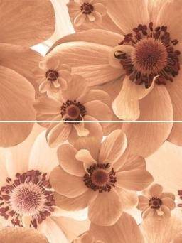 Pastel P2-3D124