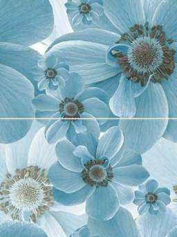 Pastel P2-2D124