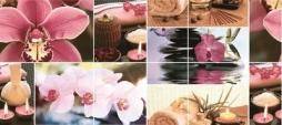 Romance P6D184