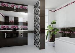 City Orchid