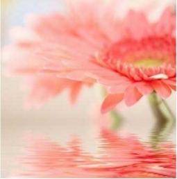 Tessita/Flower