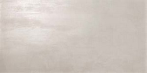 Dwell Silver 80 (8DWL)