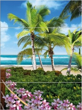 Nature Costa 3 Nature Costa 3