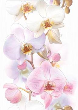 Tropicana Orchids