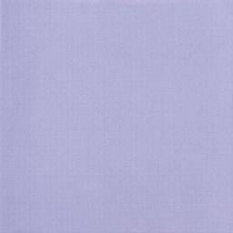 Pav.Vision Violet Vsn202N