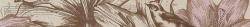 Allegro Beige Border 01