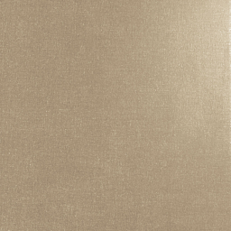 Elan Taupe