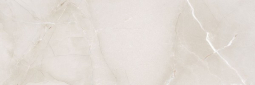 Passion R90 Ice