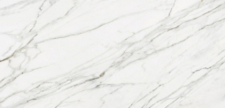 Xlight Premium Golden White Nature