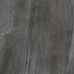 Xlight Premium Aged Dark Nature