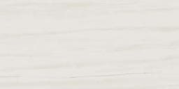 Marvel Bianco Dolomite 30x60 (D110)