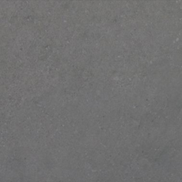 Tao Grey