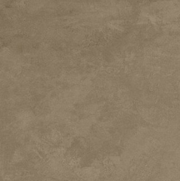 Raw Mud 60x60 (APMF)