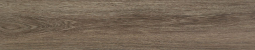 Ninsba Brown MT Rect