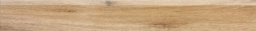 Faro DSASP717