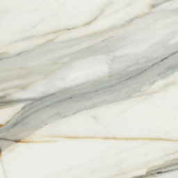 Calacatta Borghini Matt Rect.