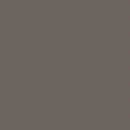 Taurus Color TAA25007
