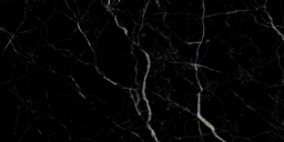 Royal Black High Glossy