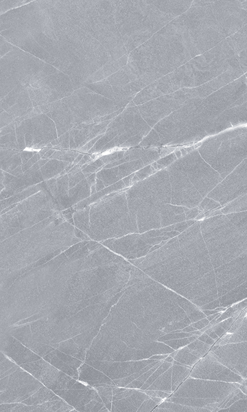 Elegance Grey wall 02 Elegance Grey wall 02