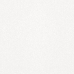 Monocolor Sugar White PG 01