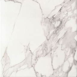 P- Bonella White