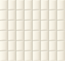 Ms-Elementary White