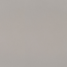 P-Elementary Grey Mat