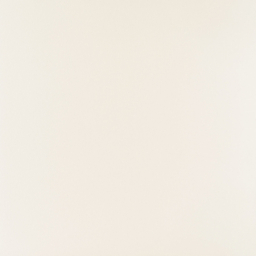 P-Elementary White Mat